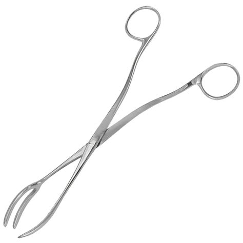 Buy GDC Sterilizing Forceps Rogge (30cm) (Rf30) – Oralkart