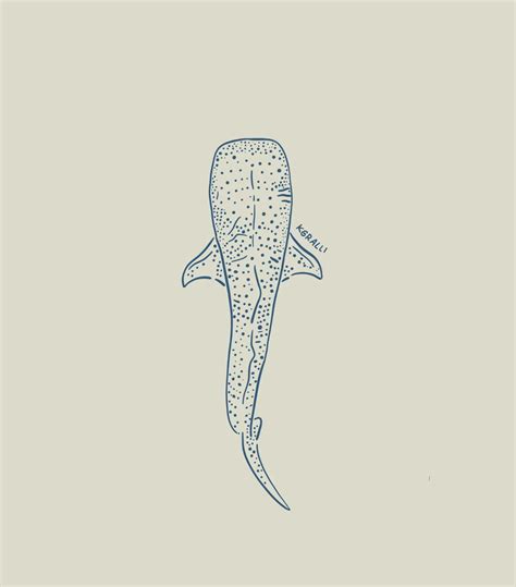 Whale Shark Drawing Outline