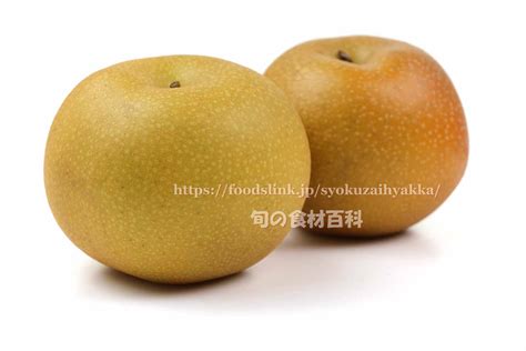 あきづき ＜ 和梨：旬の果物百科