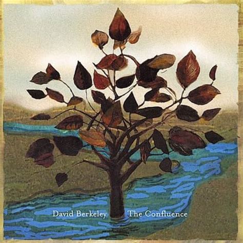 Confluence: David Berkeley: Amazon.in: Music}