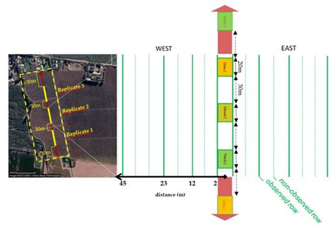 Agronomy | Special Issue : The Application of Functional Plants in Crop ...
