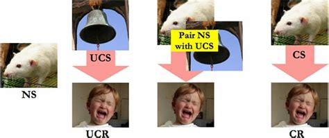 Image result for Classical Conditioning Fear