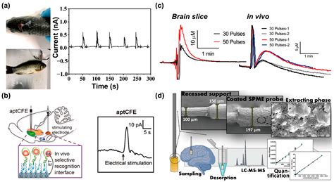 An Updated Review on Electrochemical Nanobiosensors for ...