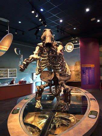 Western Science Center (Hemet) - 2019 What to Know Before You Go (with ...