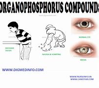 Image result for organophosphorus