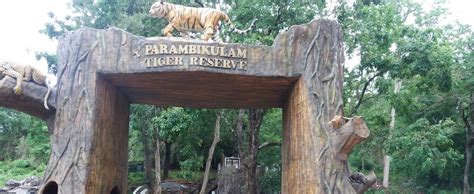PARAMBIKULAM JUNGLE CAMPS (Kerala/Palakkad) - Lodge Reviews & Photos ...