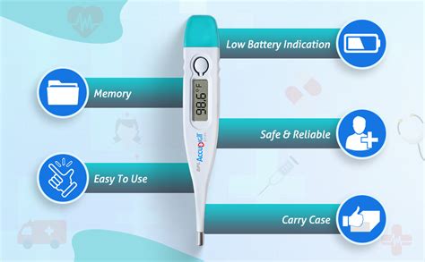 BPL Medical Technologies Accudigit DT-04 Mercury-Free Digital ...