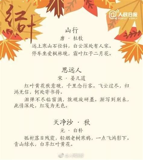 【小学古诗词】小学一年级语文下册必背古诗词：小池（带译文简析）