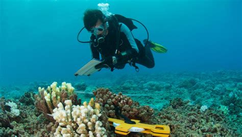 Image result for How Does Waste Management Affect Environment