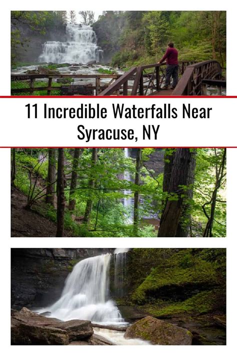 Are There Bears In Syracuse Ny And Lake Bluff Campground