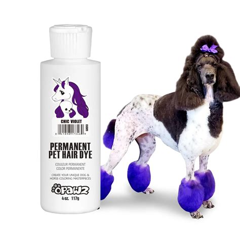 Dogs With Hair