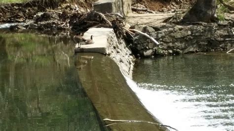 PENNYPACK PARK (2025) All You Need to Know BEFORE You Go (with Photos ...