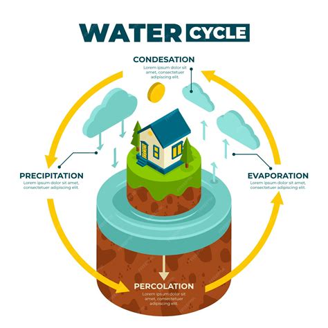 Water Cycle Percolation