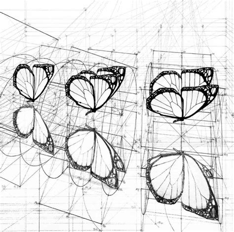 Beautiful Math Patterns 的图像结果