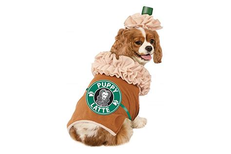 Best Dog Costumes For Brown Dogs at Lucy Dean blog