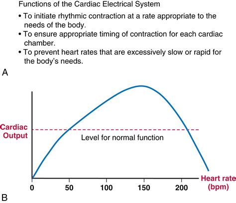 Image result for Understanding Cardiac Current