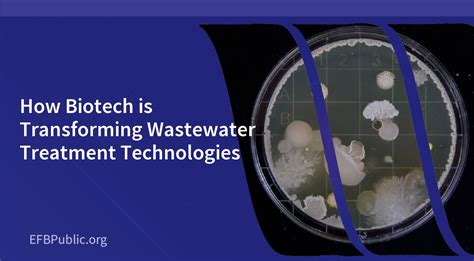 Biotechnology Water Treatment 的图像结果