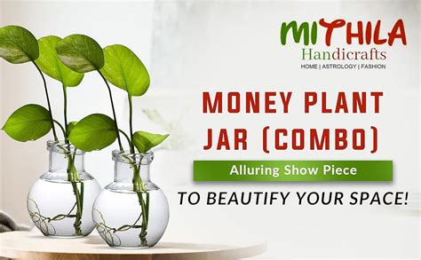 Buy MITHILA HANDICRAFTS Round Glass Vases (Set of 2) (Clear, 12 x 10cm ...