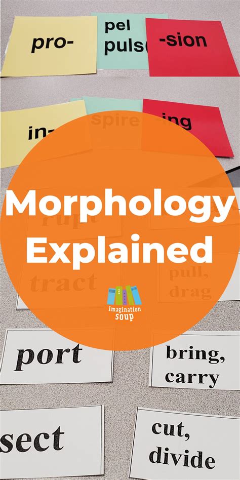 Morpho…what? Why Morphology Is Important – ParentingBest.com