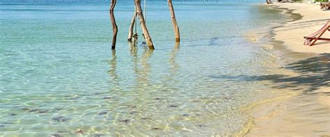 Starfish Beach, Sunset Sanato & Night Fishing Tour (Chinese Guide ...