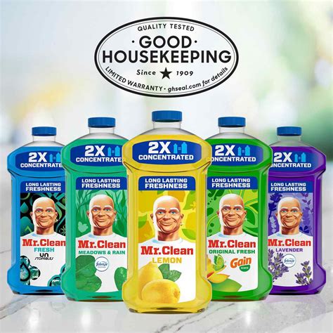 Mr. Clean Concentrated All-Purpose Cleaner - Gain Scent - Shop All ...