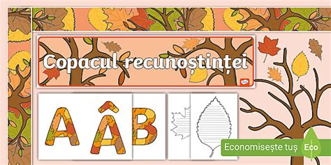 Copacul recunoștinței – Decorul și amenajarea clasei