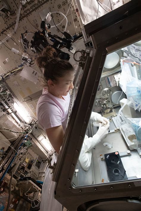 Previous NASA Awards for In Space Production Applications - ScienceX ...
