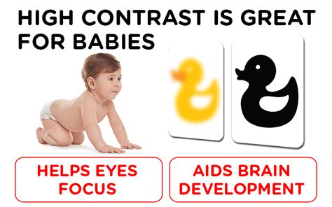 Einstein Box - 1-2 Years