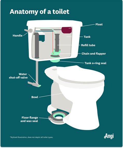 Inside Diagram Of A Toilet at Sheila Tejada blog