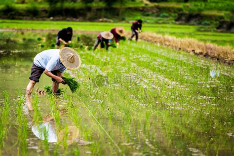 农业技术-扬州春泉科技有限公司