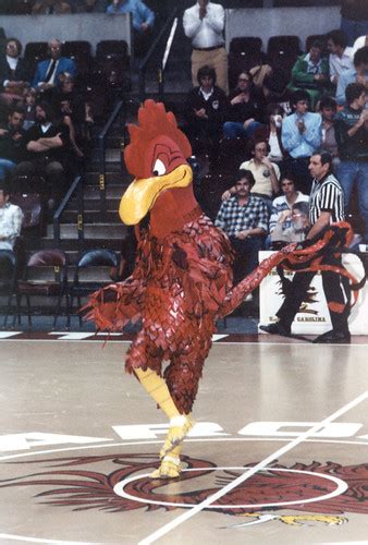 Big Spur, 1980 | University of South Carolina sports mascot … | Flickr