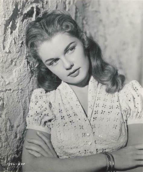Image result for Row Count in SQL Server Table
