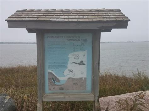 THE BEST Places to Visit in Cayuga (2026) - Must-See Attractions