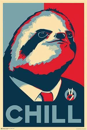 Image result for Chill Sloth