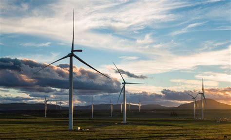 Nature Springer 的图像结果