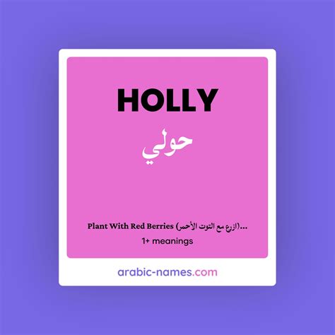 HOLLY (حولي) Meaning in Arabic & English - Arabic Names