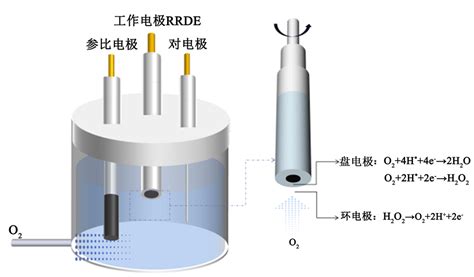 H2O2 Reactor 的图像结果