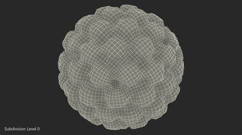 3D model Human Papilloma Virus HPV | 3D Molier International