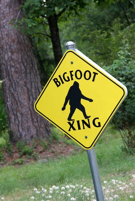 Bigfoot spotted crossing rural New York highway | Fox News
