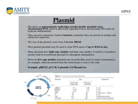 Genetic Engineering Presentation 的图像结果