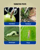 Buy BASF Exponus Insecticide (Broflanilide 300G/L SC) | Pest Control ...