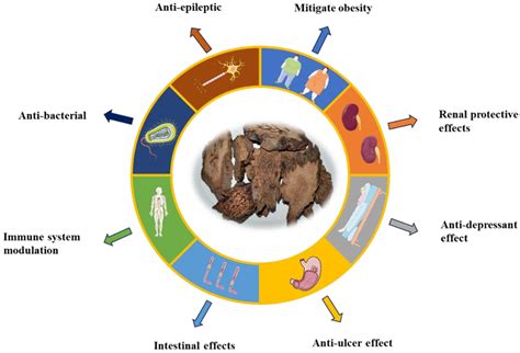 Research Progress in Traditional Applications, Phytochemistry ...