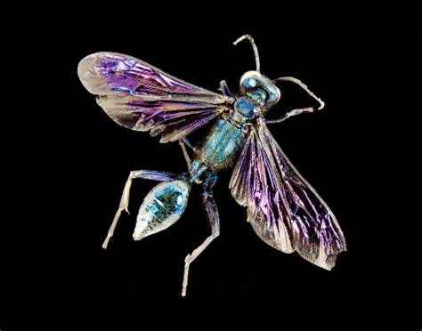 Thrivent Art Gallery Schedule | Outagamie County, WI