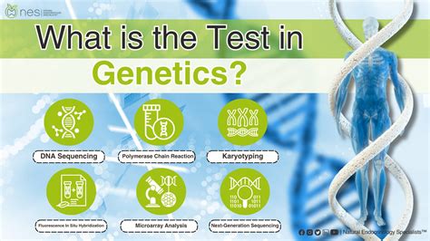 Image result for Genetic Testing Process