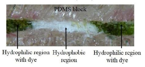 Paper Fluidic Device for Regular Monitoring of Oral Health | IITBombay