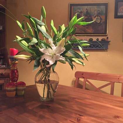 Strategic Natural Solutions Office Photos