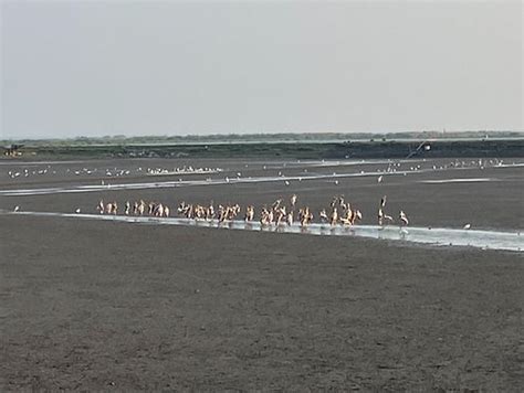 Article - Feathered Friends and Nature's Beauty: A Day Trip to the ...