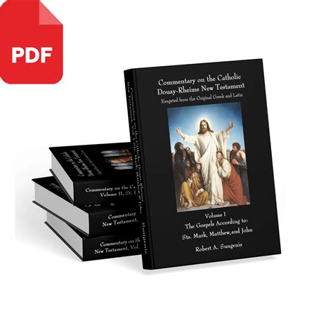 Image result for Douay-Rheims New Testament