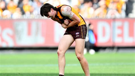 AFL Round 24: Fixture, teams, news, tips, odds - everything you need to ...