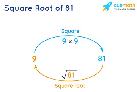 Square Root of 81 - How to Find the Square Root of 81? - Cuemath